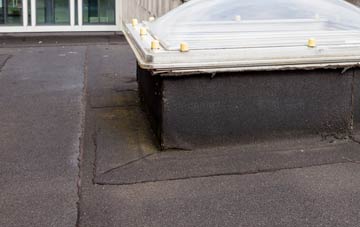 disadvantages of Rhosfach flat roofs